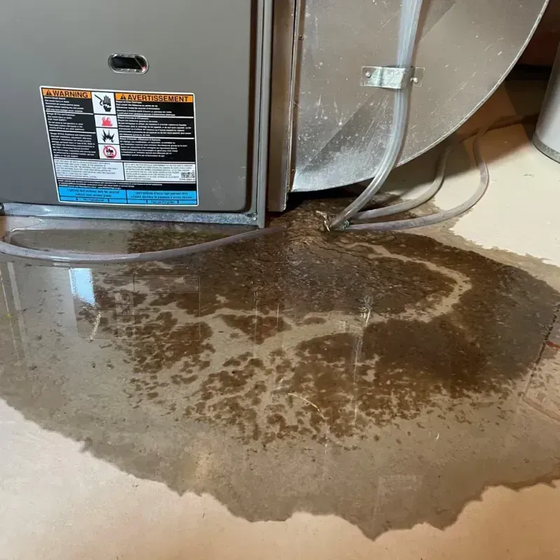 Appliance Leak Cleanup in Marked Tree, AR